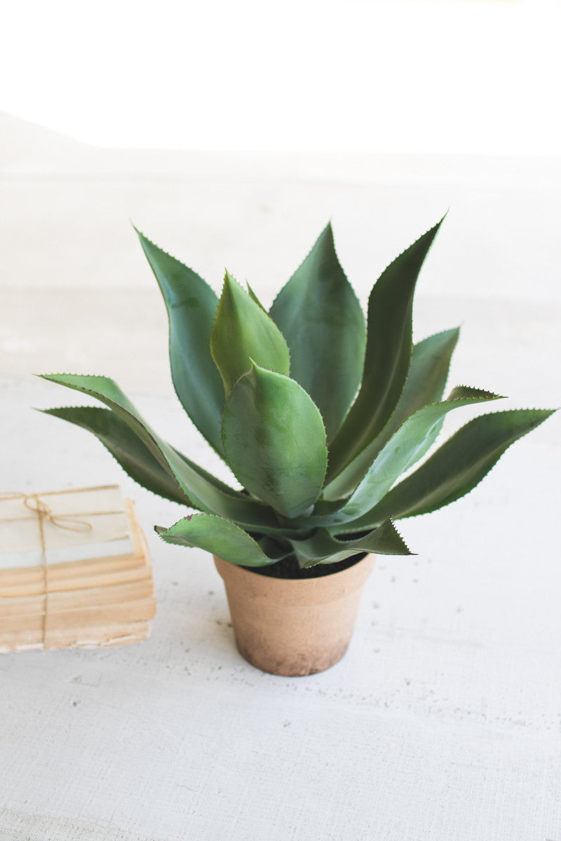 Artificial Agave Plant in Painted Pot